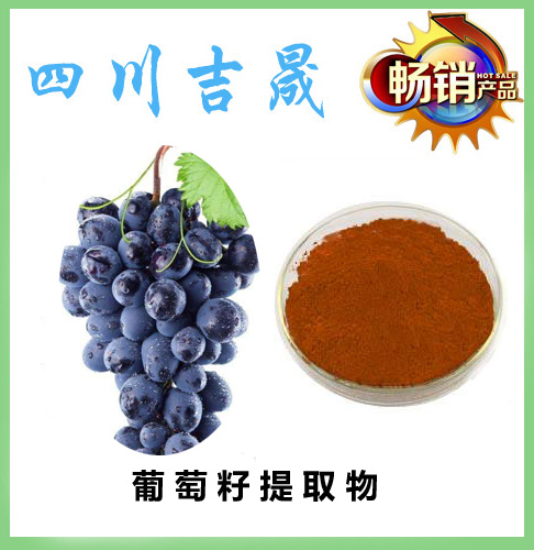 金佰利(国际)官方网站入口