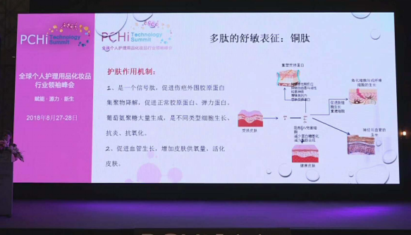 金佰利(国际)官方网站入口