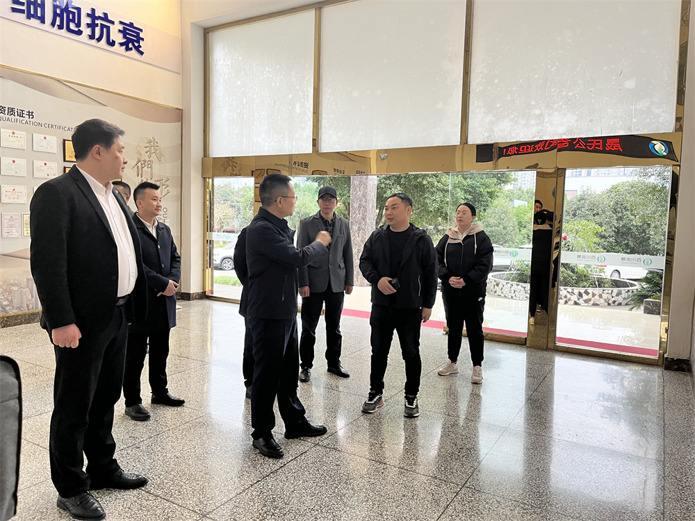 金佰利(国际)官方网站入口